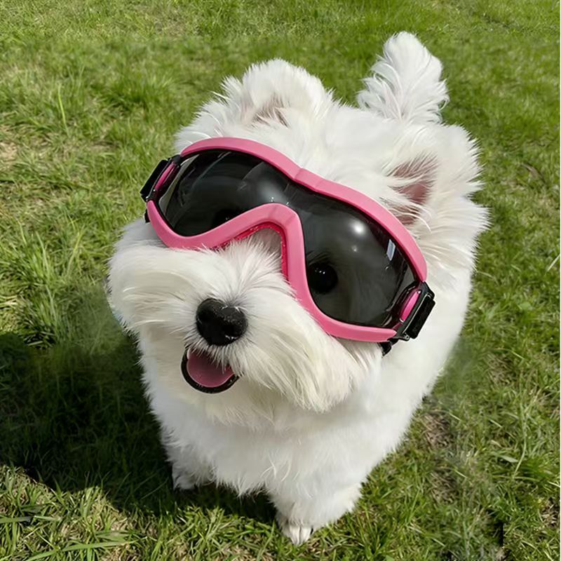 Kacamata Anjing untuk Anjing K - Sunglass Retainer Cord ulasan dan harga