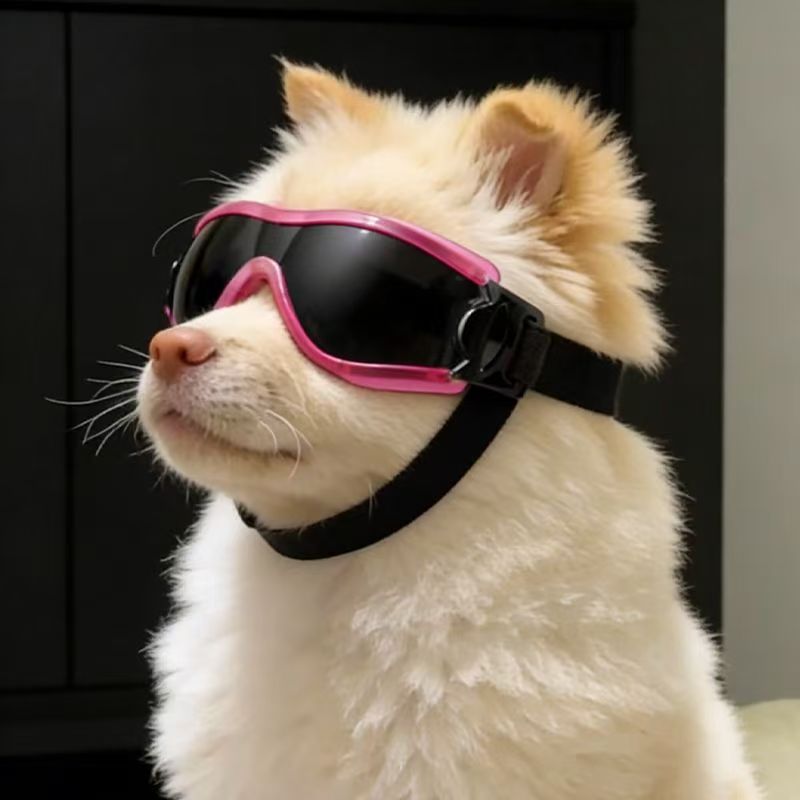 Kacamata Anjing untuk Anjing K - Sunglass Retainer Cord ulasan dan harga